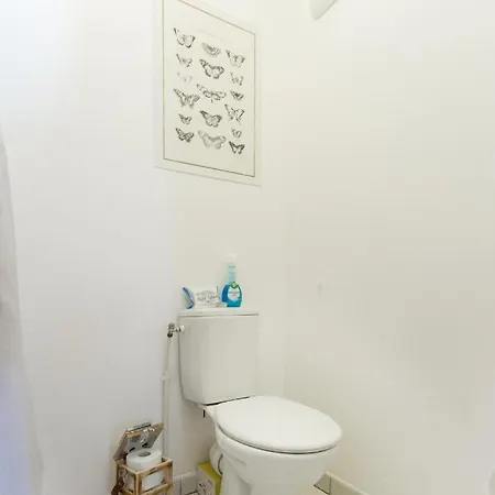 Apartment Appart Patte D Oie, Tramway, Aeroport, Calme. Toulouse